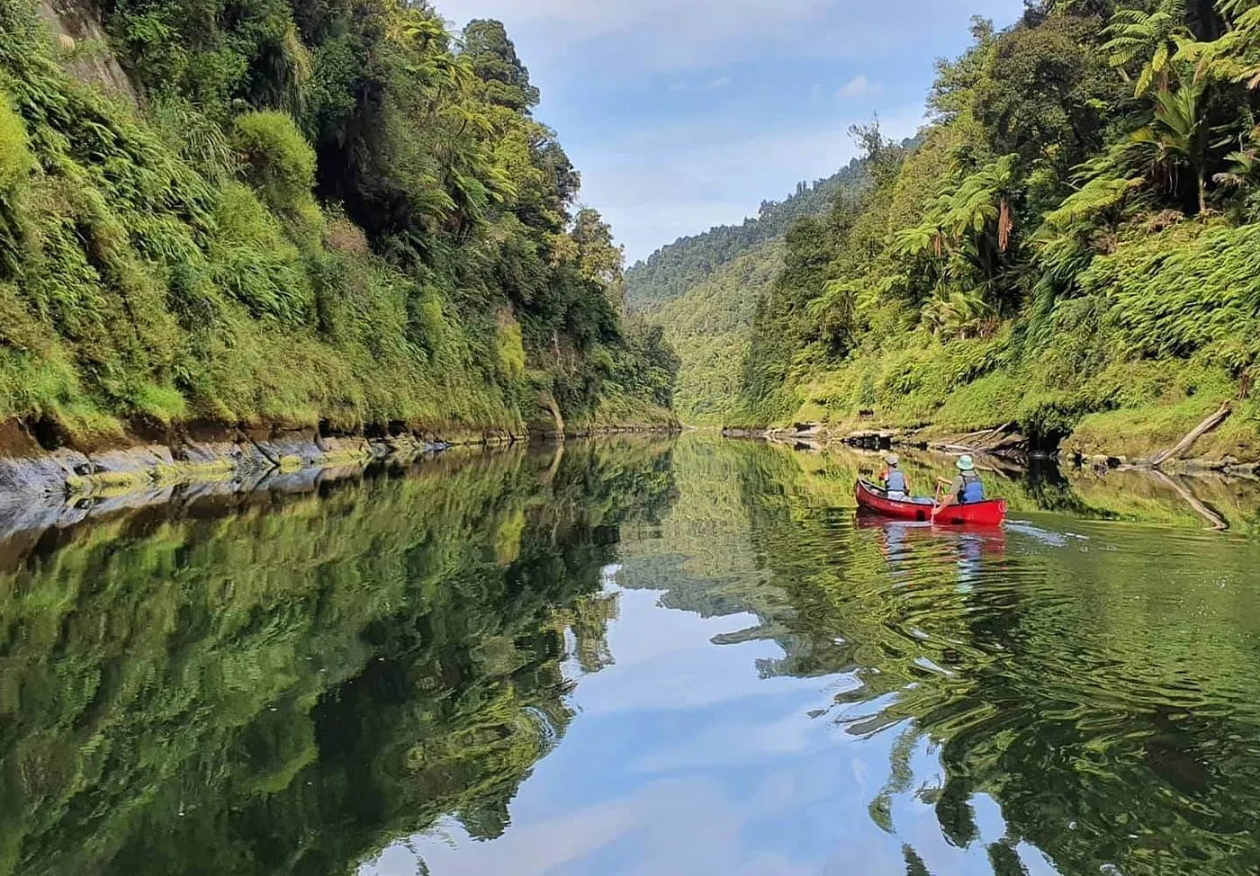 The Whanganui River in New Zealand — Image from arptravels.com